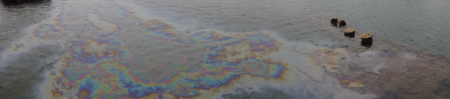 DSC00543